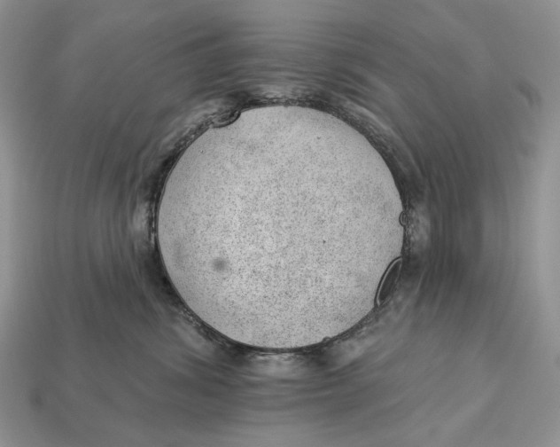 X0000112980428200909171342