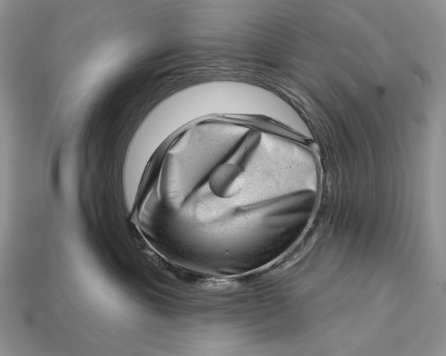 X0000112980429200909171342