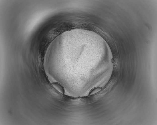 X0000112980430200909171342
