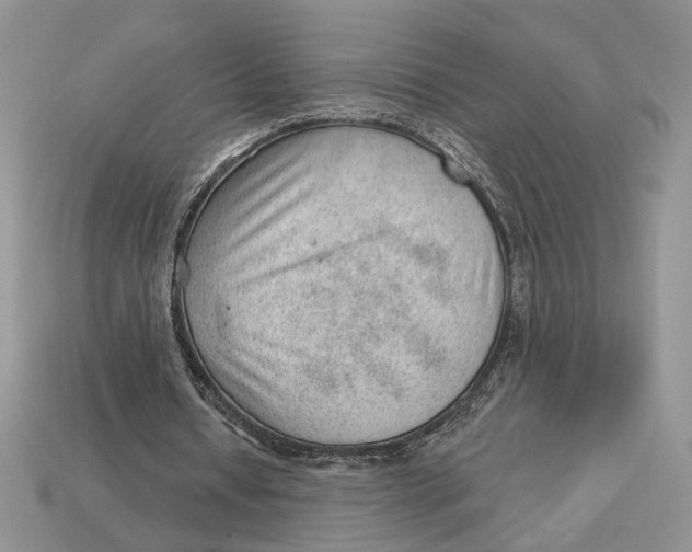 X0000112980434200909171341