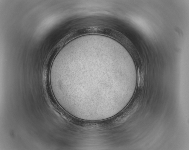 X0000112980435200909171341