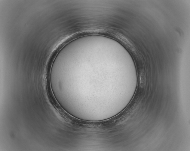 X0000112980436200909171341