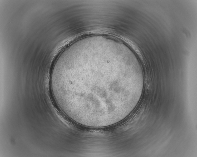 X0000112980437200909171341