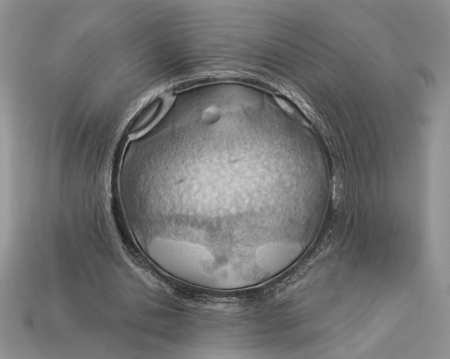 X0000112980438200909171341