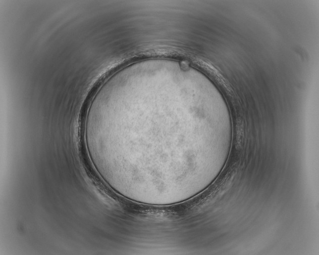 X0000112980439200909171341