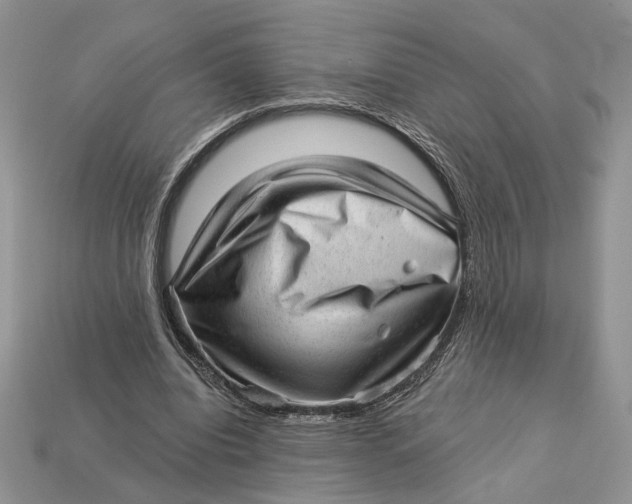 X0000112980440200909171341