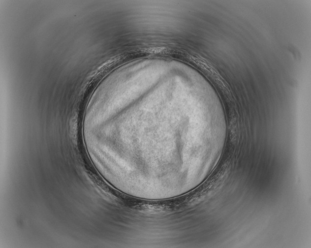 X0000112980442200909171341