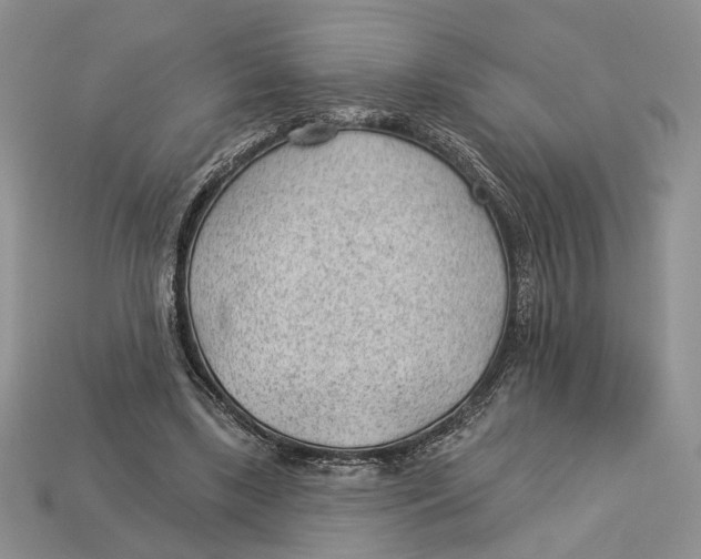X0000112980443200909171341