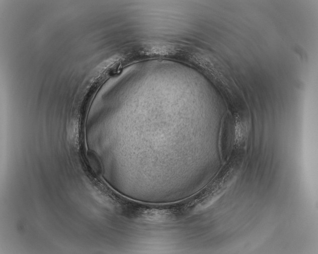 X0000112980444200909171341
