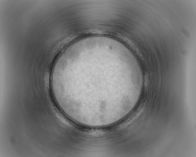 X0000112980445200909171341