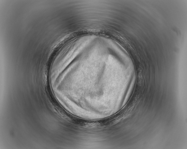 X0000112980446200909171341