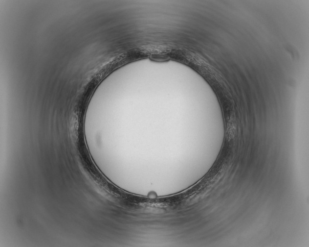 X0000112980448200909171341