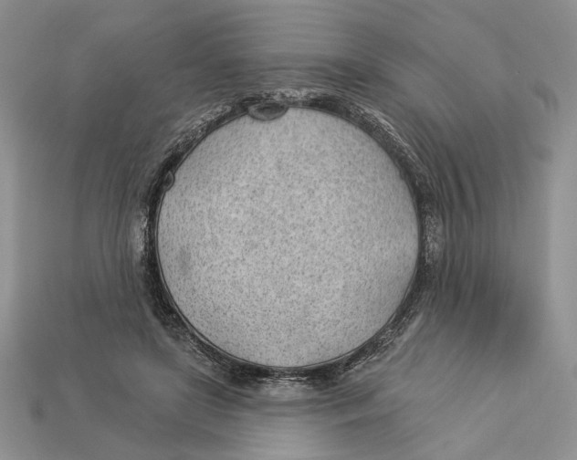 X0000112980451200909171342