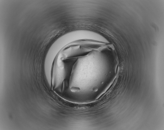 X0000112980452200909171342