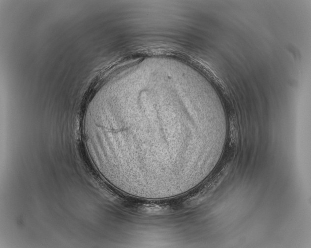 X0000112980453200909171342