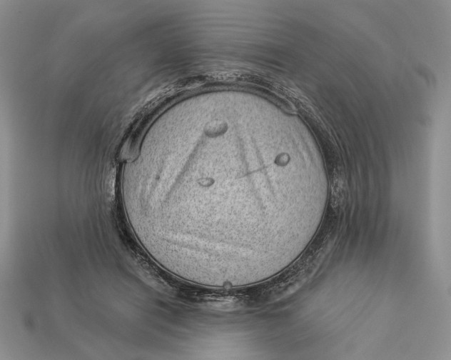 X0000112980454200909171342