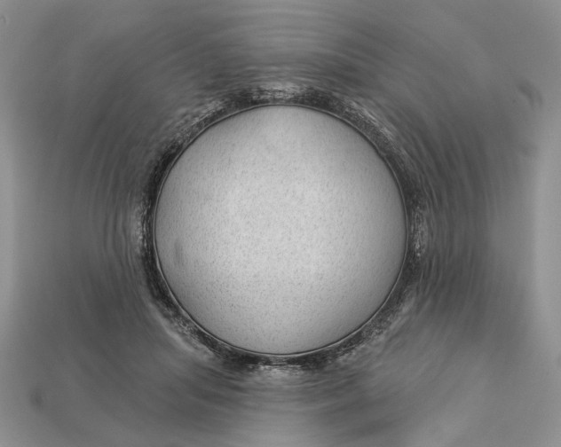 X0000112980455200909171342