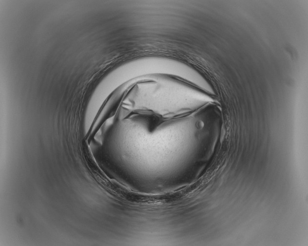 X0000112980456200909171342