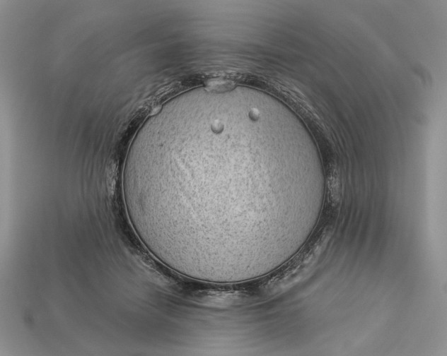X0000112980458200909171342