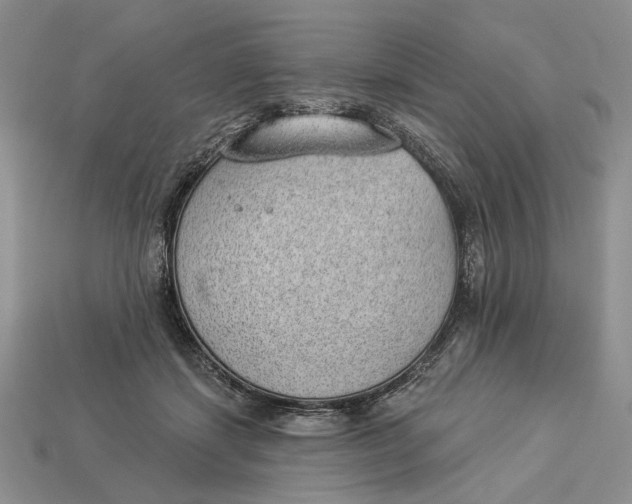 X0000112980459200909171342