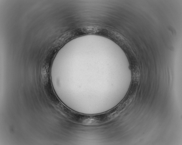 X0000112980460200909171342