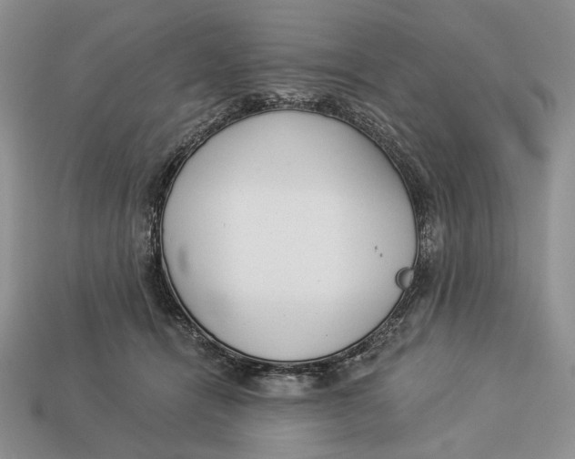 X0000112980464200909171342