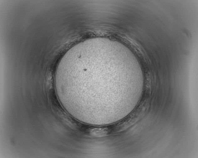 X0000112980465200909171342