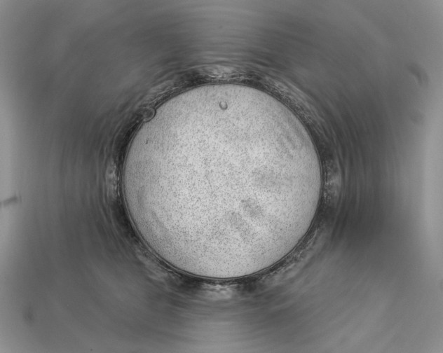 X0000112980469200909171342