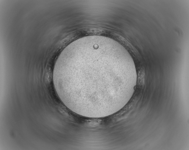X0000112980474200909171342