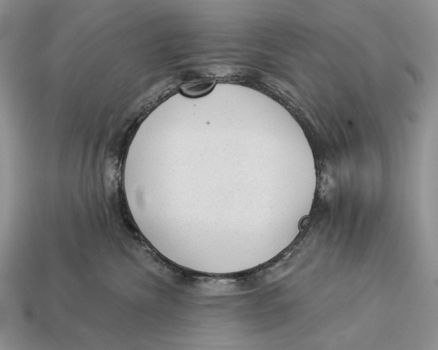 X0000112980476200909171342