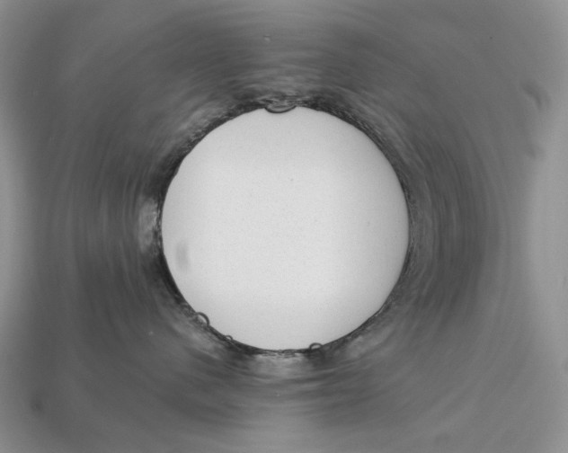 X0000112980480200909171342