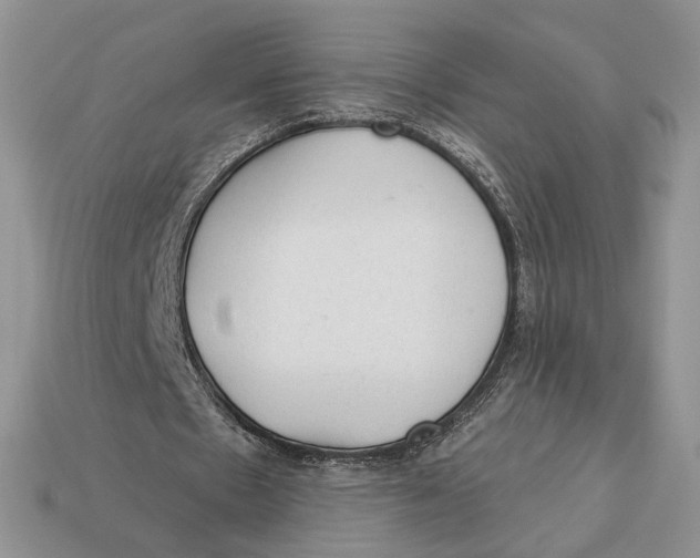 X0000112980481200909171341