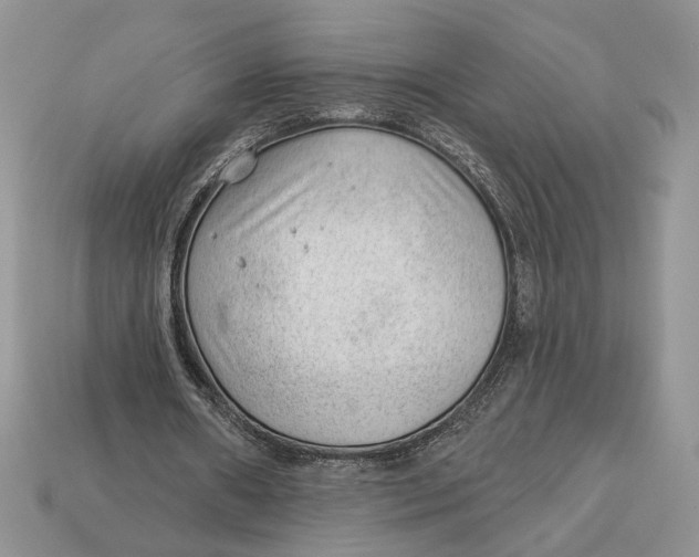 X0000112980482200909171341