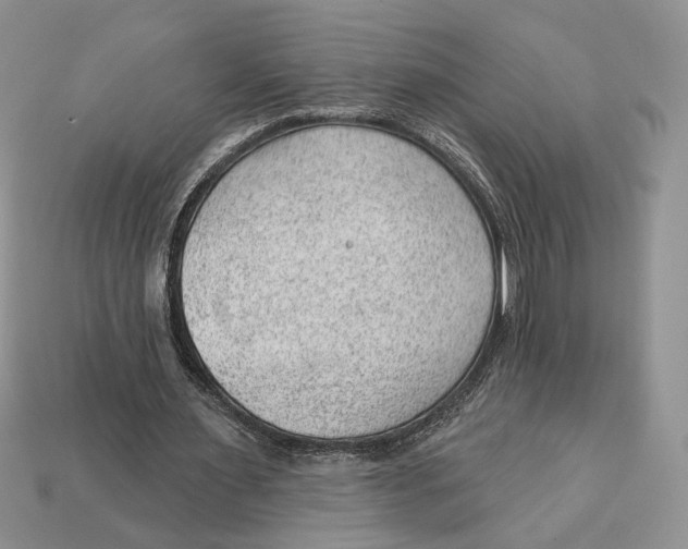 X0000112980483200909171341