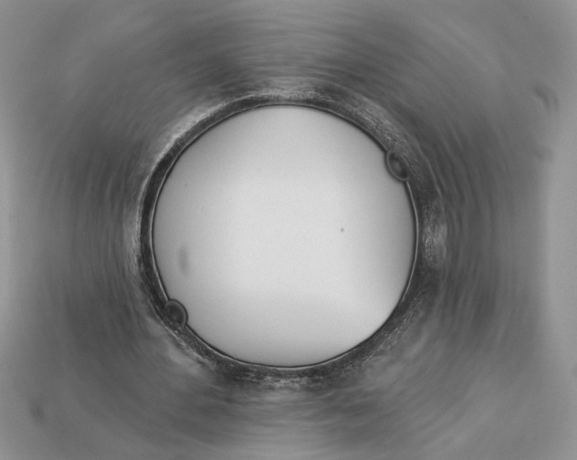 X0000112980484200909171341