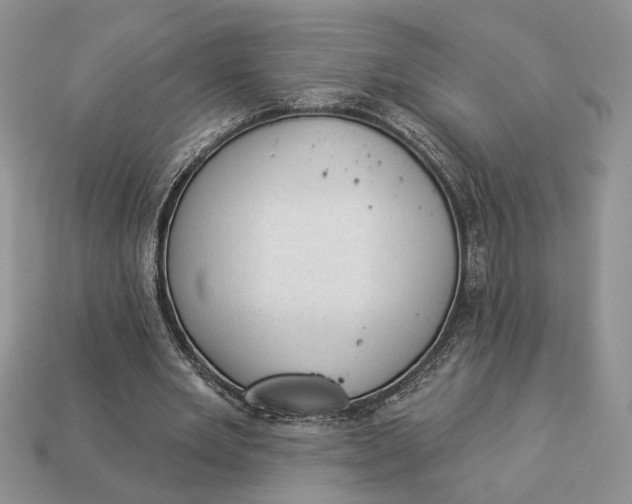 X0000112980485200909171341