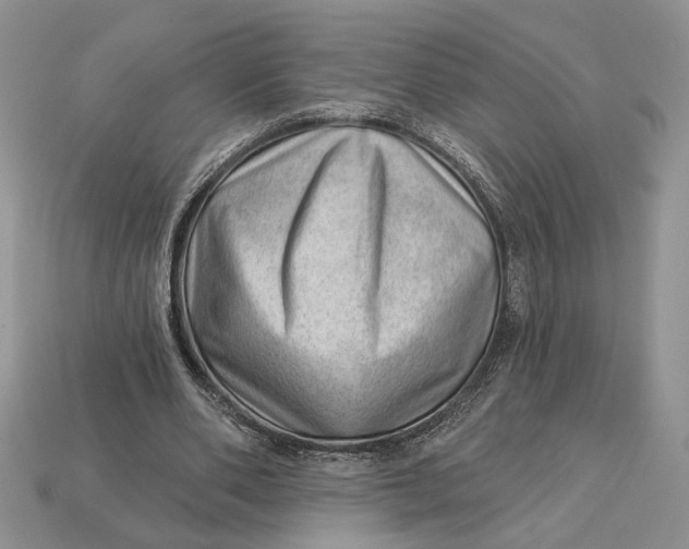 X0000112980486200909171341