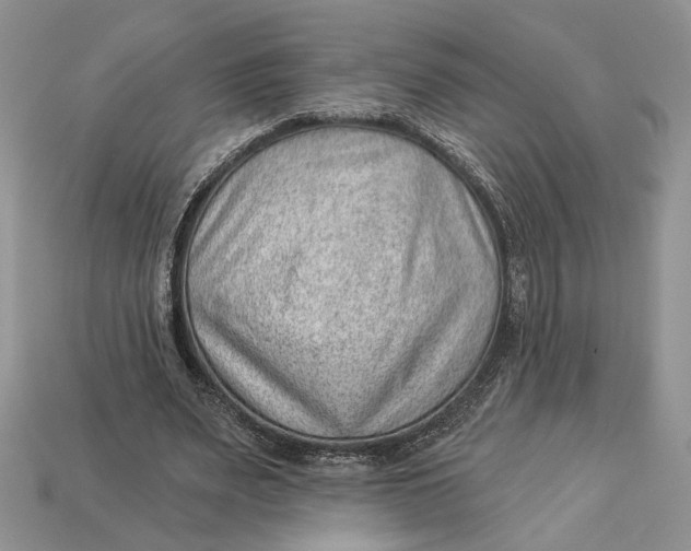 X0000112980487200909171341