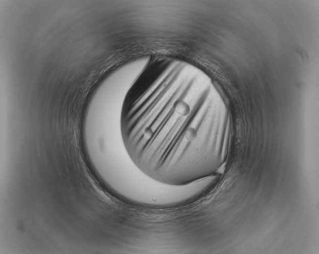 X0000112980489200909171341