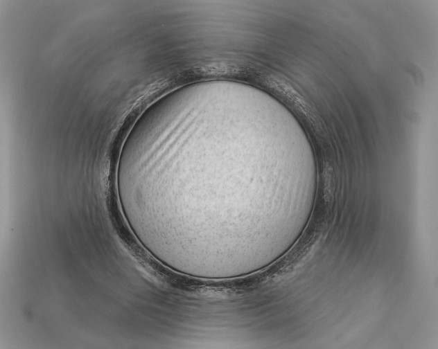 X0000112980490200909171341