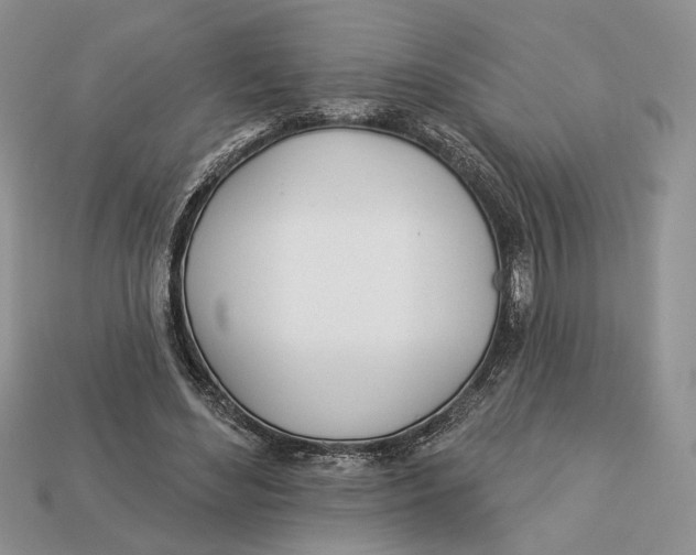 X0000112980492200909171341