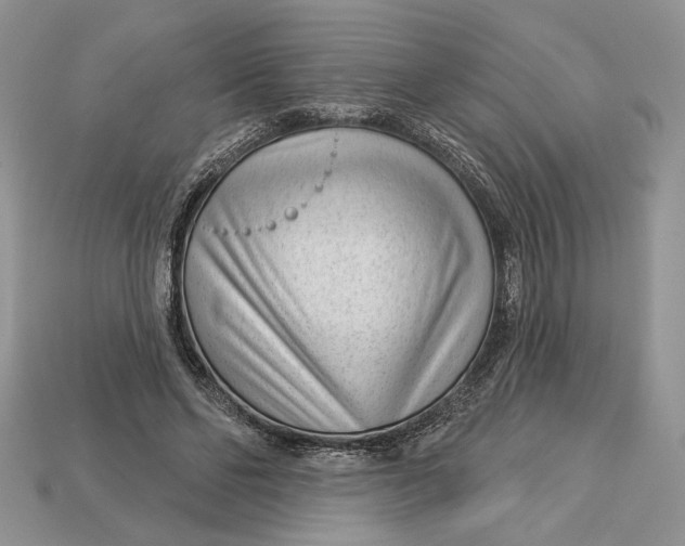 X0000112980494200909171341