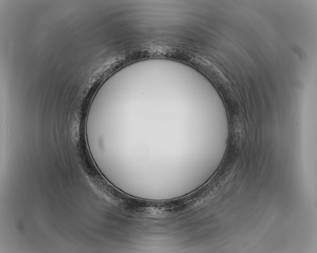 X0000112980496200909171341