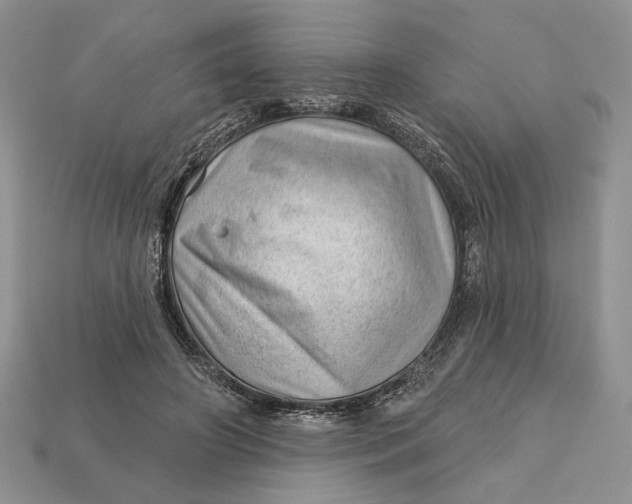 X0000112980498200909171341