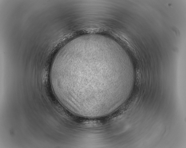 X0000112980499200909171341