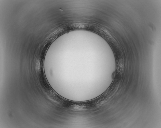 X0000112980500200909171341