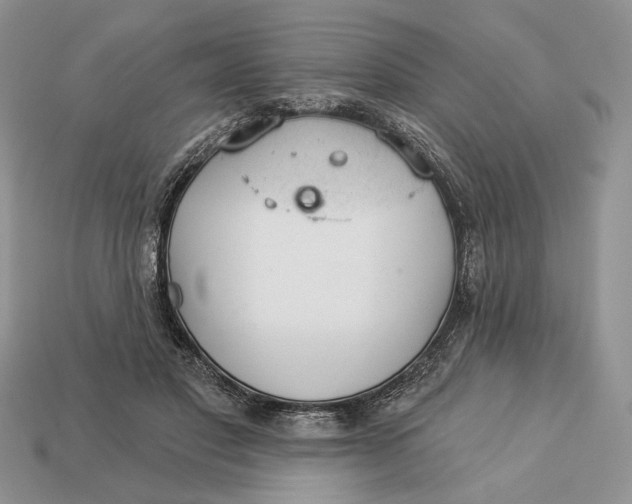 X0000112980501200909171341