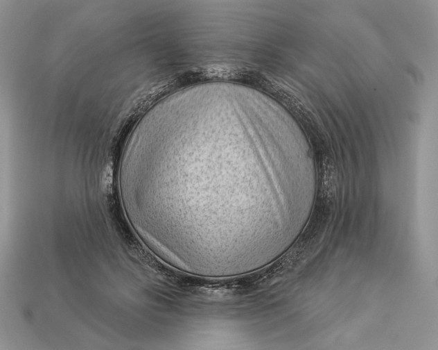 X0000112980502200909171341