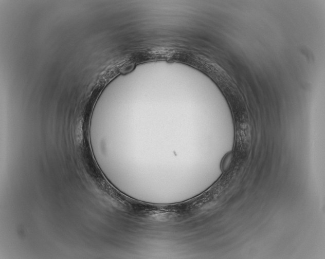 X0000112980504200909171341