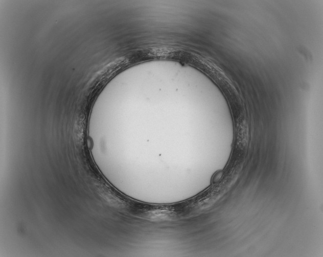 X0000112980505200909171341